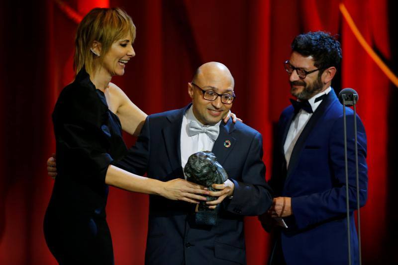 Las mejores imágenes de la alfombra roja y ceremonia de los premios de la Academia española de Cine en Sevilla. La 33ª edición de los premios Goya al cine español.