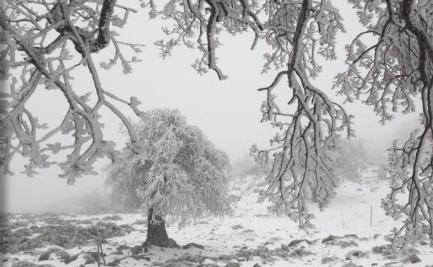 La Sierra de las Nieves, esta mañana. 