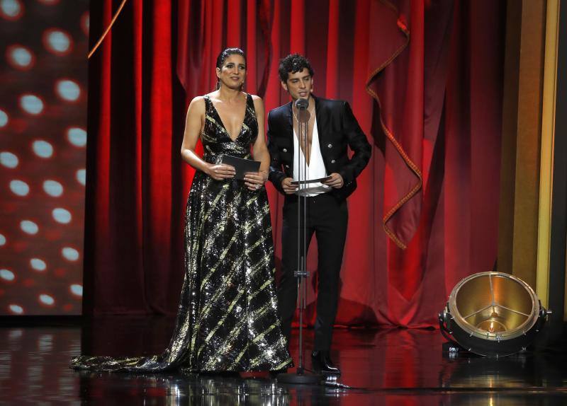 Las mejores imágenes de la alfombra roja y ceremonia de los premios de la Academia española de Cine en Sevilla. La 33ª edición de los premios Goya al cine español.