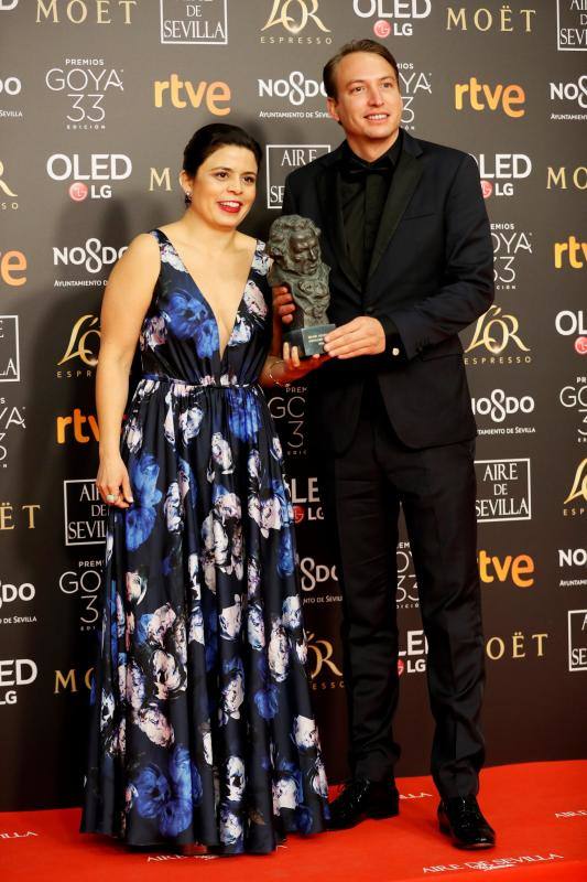 Las mejores imágenes de la alfombra roja y ceremonia de los premios de la Academia española de Cine en Sevilla. La 33ª edición de los premios Goya al cine español.