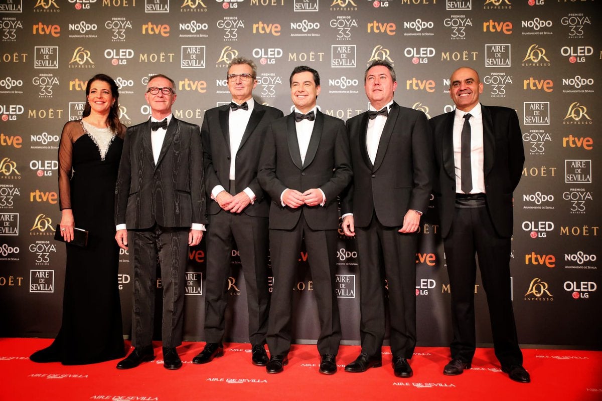 Las mejores imágenes de la alfombra roja y ceremonia de los premios de la Academia española de Cine en Sevilla. La 33ª edición de los premios Goya al cine español.