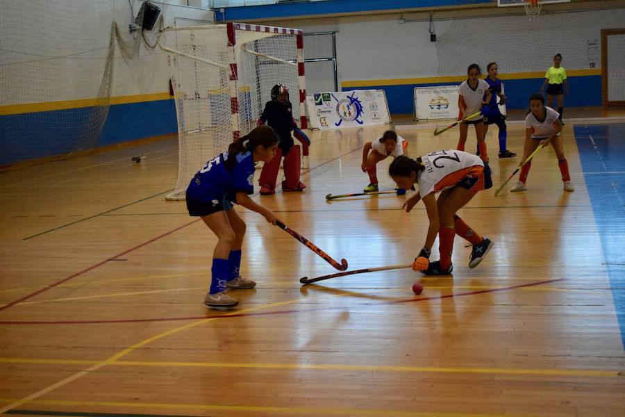 El C.D. La Candelaria Hockey femenino se hizo el pasado domingo con la victoria del Campeonato Andaluz de Hockey Sala en categoría alevín. Una apasionante final que tuvo al público entregado en todo momento. A un minuto de que terminara el partido La Candelaria empató a tres puntos con San Fermando y tuvieron que resolver la final a penaltis. El equipo también se llevó el trofeo a mejor jugadora y jugadora más goleadora.