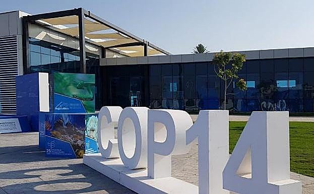 Sede de la cumbre Mundial de Diversidad Biológica, este año en Egipto.