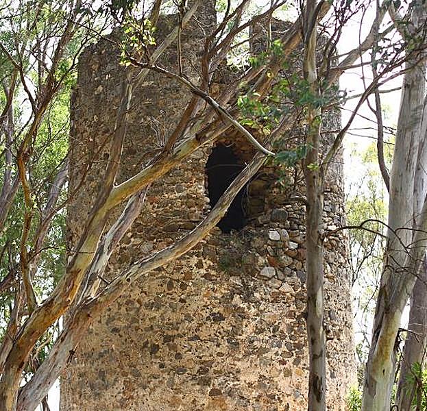 La Torre Ancón está rodeada de arboleda.