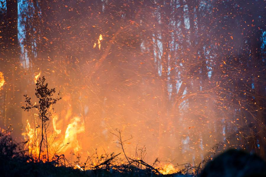 El norte de España se ha visto asolado este fin de semana con más de un centenar de incendios que han afectado duramente a Asturias, Cantabria y Vizcaya. Algunos de ellos ya están controlado, pero, en el Principado, 99 de ellos aún continuan en activos; mientras que en Cantabria el número de incendios activos se ha rebajado de 21 a 17, de un total de más de 60 que fueron provocados en la comunidad autónoma.