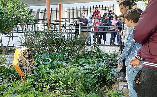 El 'hotel' para insectos, en uno de los jardines del IES Antonio Gala.