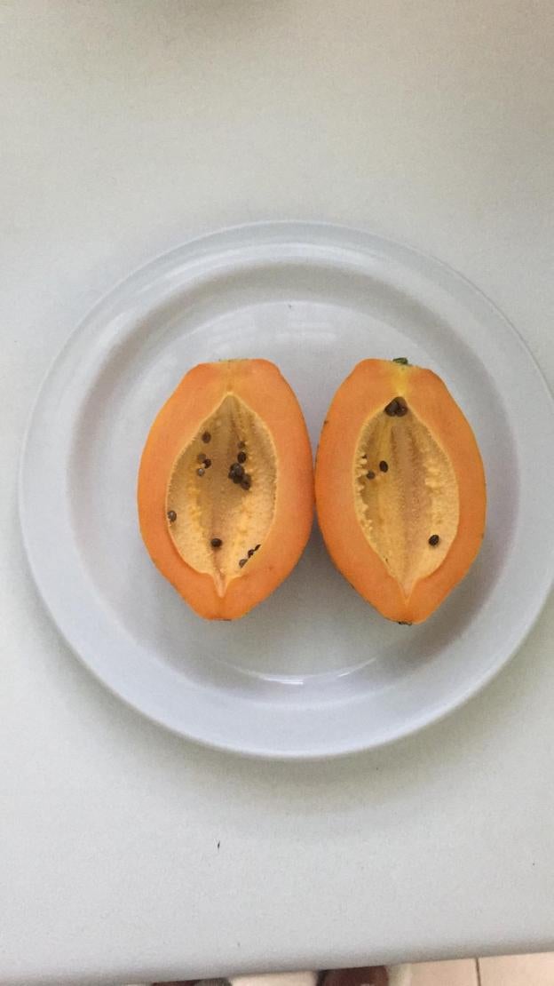 Papaya sin hueso. :: a. Peláez