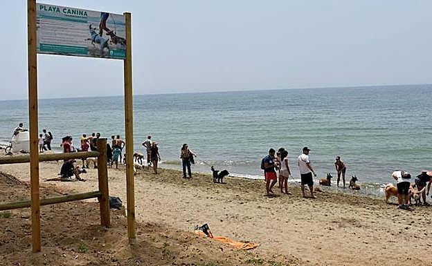 Playa canina en El Pinillo .