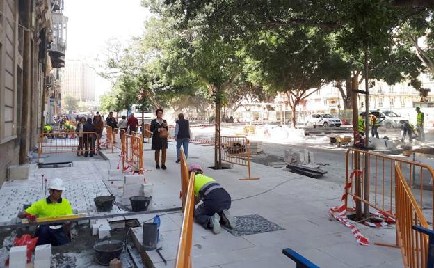 Algunos de los naranjos que se están plantando en el lateral sur de la Alameda Principal.