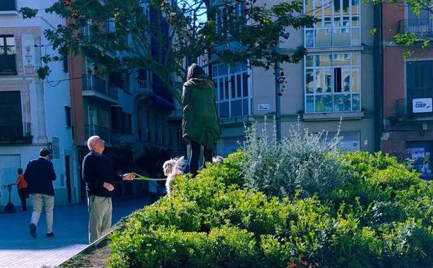 Algunos ciudadanos se suben a las jardineras con sus perros.