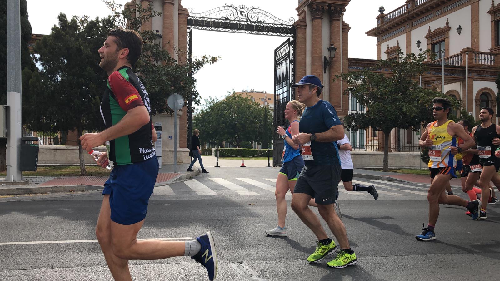 Más de 7.500 corredores participan en la 29ª edición de la Media Maratón Ciudad de Málaga.