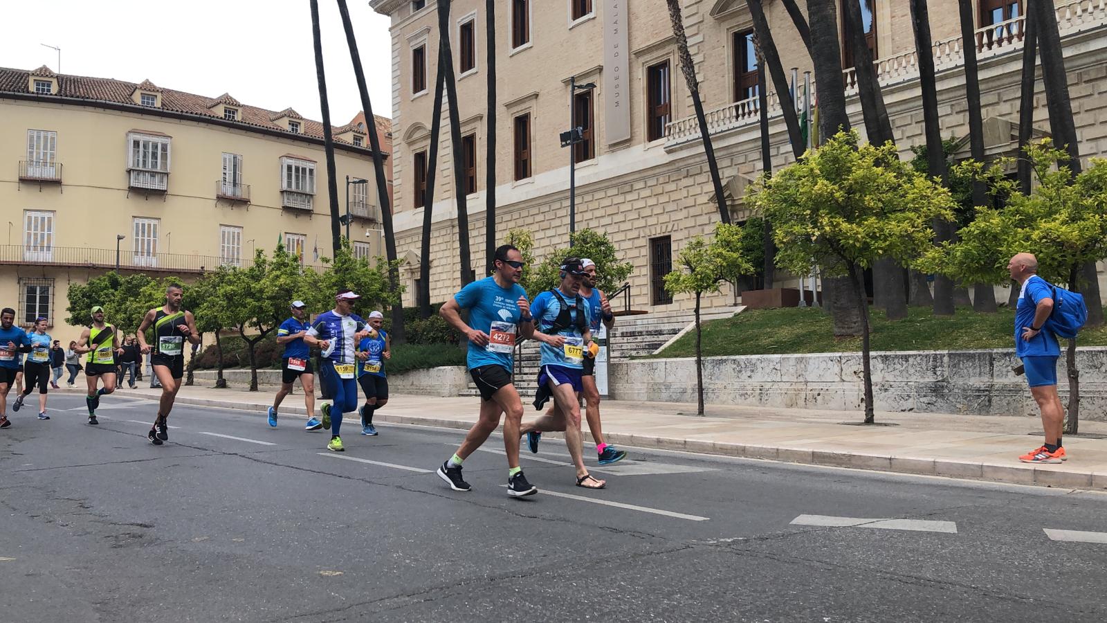 Más de 7.500 corredores participan en la 29ª edición de la Media Maratón Ciudad de Málaga.
