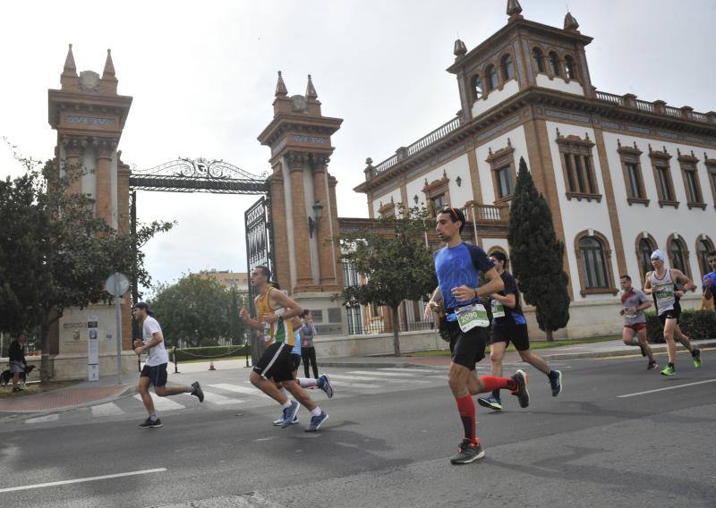 Más de 7.500 corredores participan en la 29ª edición de la Media Maratón Ciudad de Málaga.