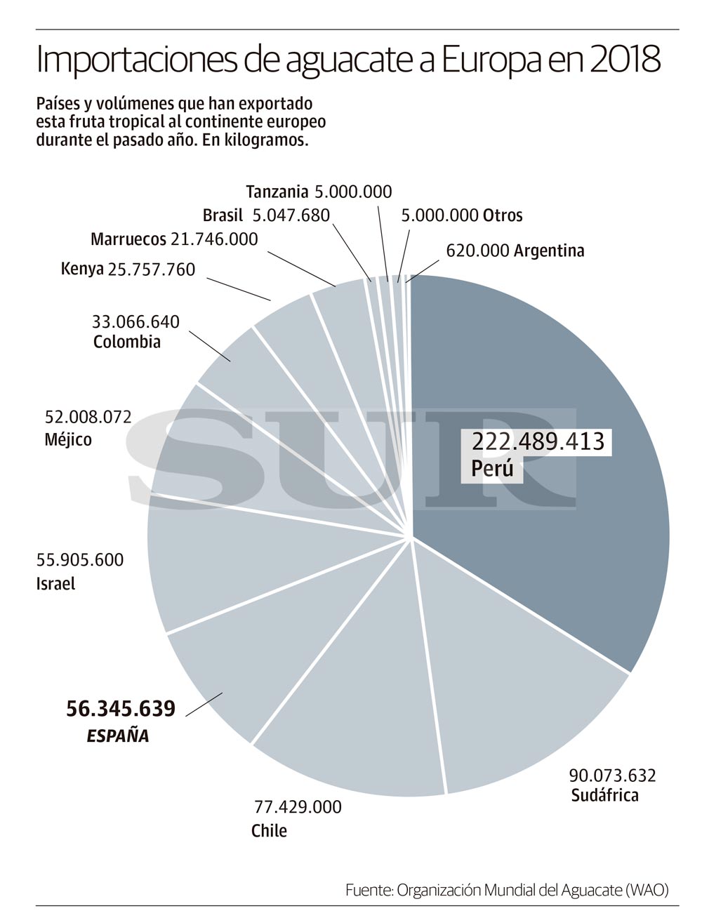 Importaciones de aguacate a Europa en 2018. 