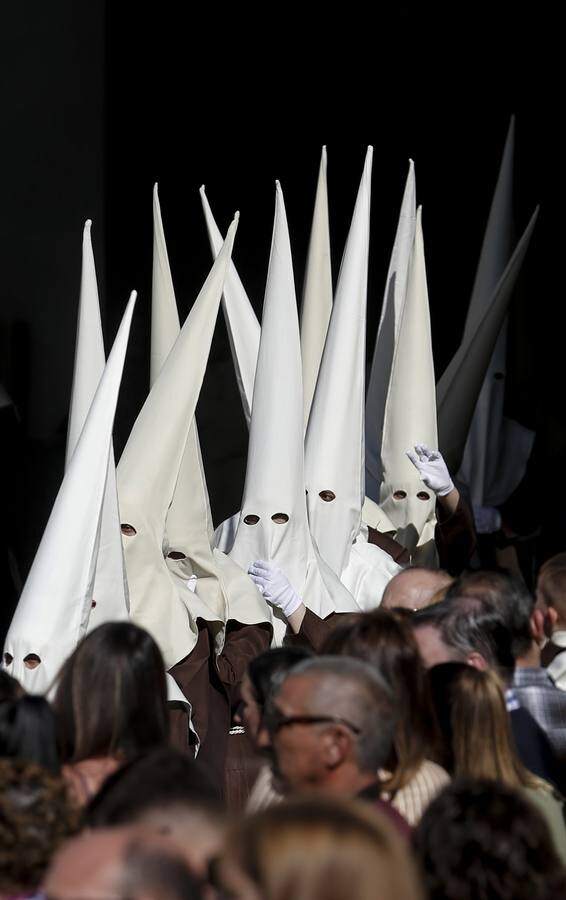 Fotos: El Domingo de Ramos de la Semana Santa de Málaga 2019, en imágenes