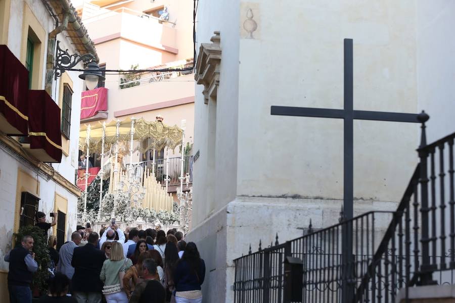 Fotos: El Domingo de Ramos de la Semana Santa de Málaga 2019, en imágenes