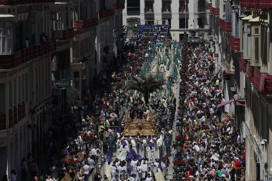 Fotos: El Domingo de Ramos de la Semana Santa de Málaga 2019, en imágenes