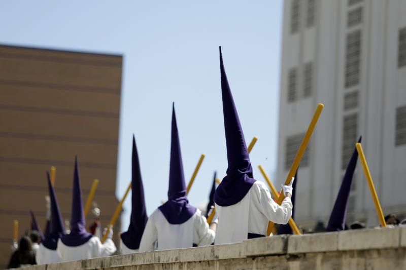 Fotos: El Domingo de Ramos de la Semana Santa de Málaga 2019, en imágenes