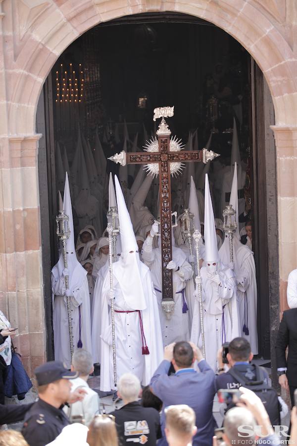 Fotos: El Domingo de Ramos de la Semana Santa de Málaga 2019, en imágenes