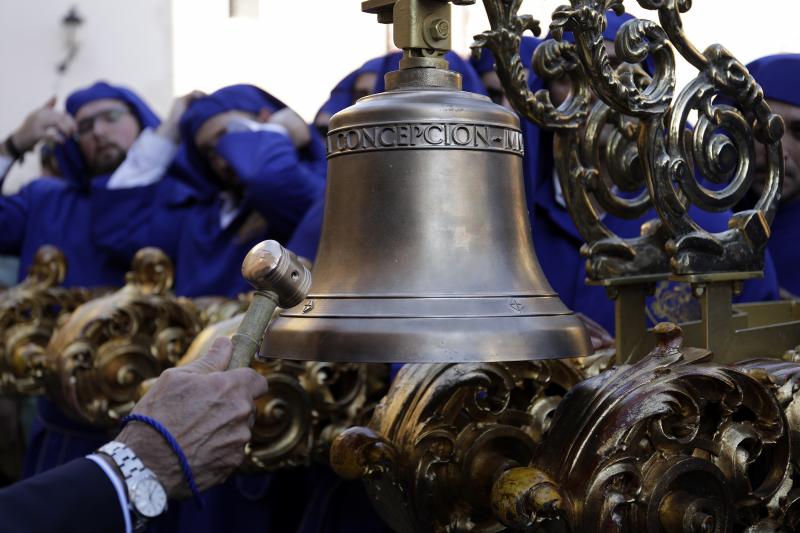 Fotos: El Domingo de Ramos de la Semana Santa de Málaga 2019, en imágenes