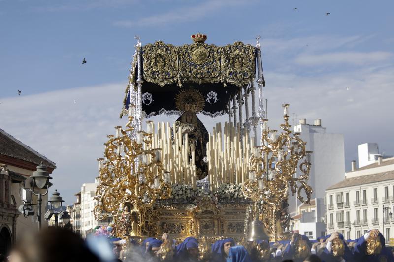 Fotos: El Domingo de Ramos de la Semana Santa de Málaga 2019, en imágenes
