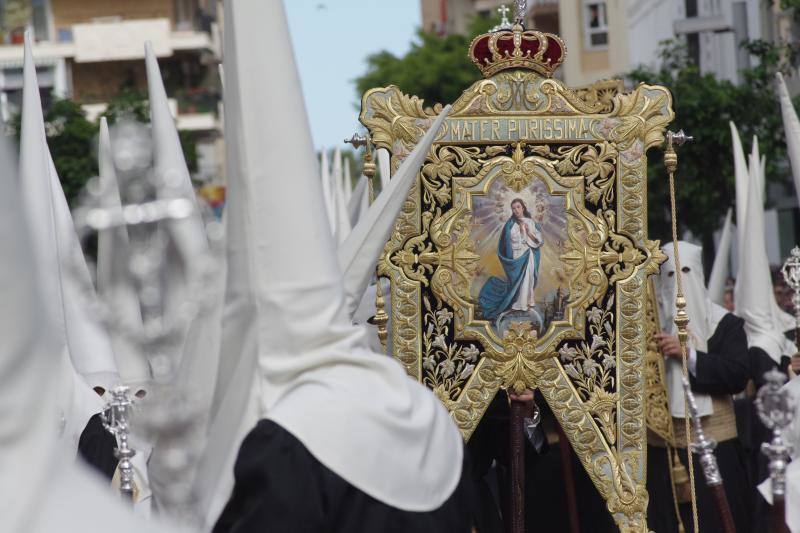 Los cortejos procesionales de Monte Calvario, Descendimiento, Dolores de San Juan, Amor, Traslado, Piedad, Sepulcro y Servitas