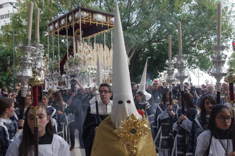 Los cortejos procesionales de Monte Calvario, Descendimiento, Dolores de San Juan, Amor, Traslado, Piedad, Sepulcro y Servitas