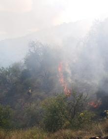 Imagen secundaria 2 - Extinguido el incendio agrícola en Guaro