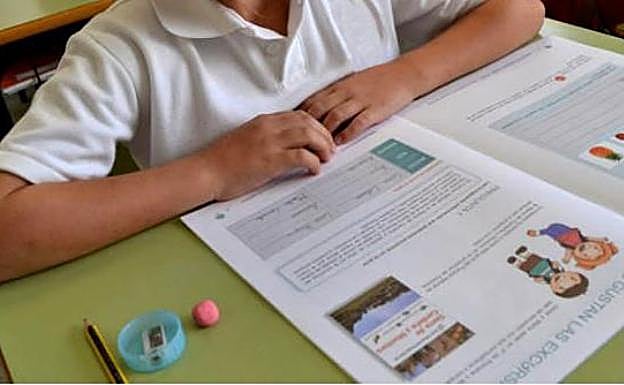Un niño, con uno de los cuadernillos de la prueba de evaluación. 