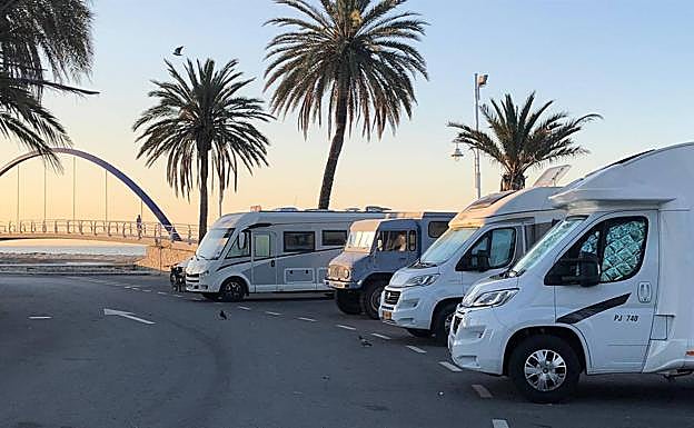 Imagen principal - Los dueños de los negocios y vecinos se quejan de su presencia. El magnolio derribado. El árbol será sustituido.