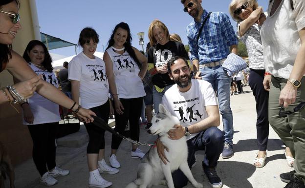 Pérez ha visitado esta mañana las instalaciones de la protectora de Málaga. 