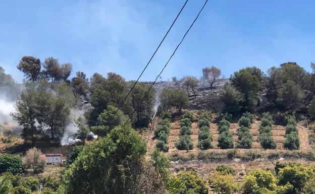 Bomberos del Consorcio Provincial, actuando en la zona este lunes. 