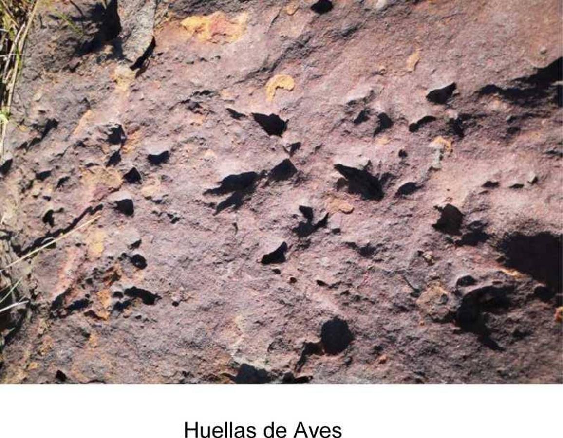 Un equipo internacional de paleontólogos investiga el «prometedor» hallazgo de fósiles de Australopithecus en Alhaja Prieta que podrían tener unos cinco millones de años