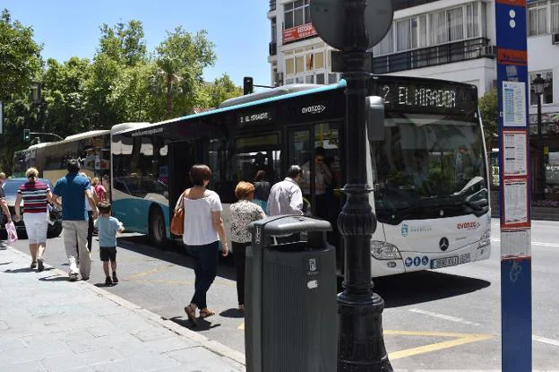 oxígeno escarabajo campo La tarjeta de autobús gratuito cumple su primer mes en funcionamiento |  Diario Sur