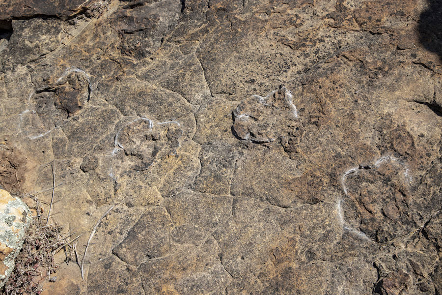 Fotos: Gerard Gierlinski, en su visita a Álora