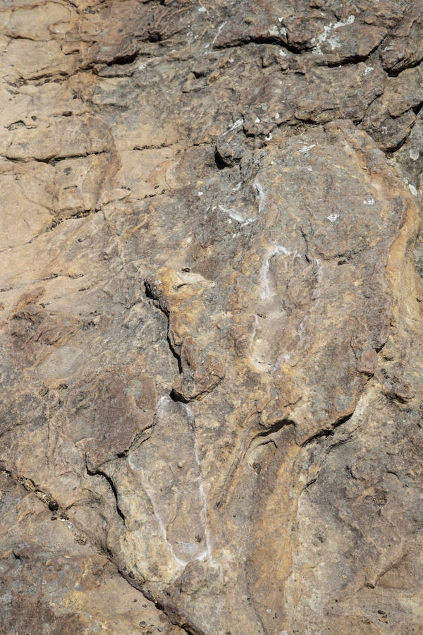 Fotos: Gerard Gierlinski, en su visita a Álora