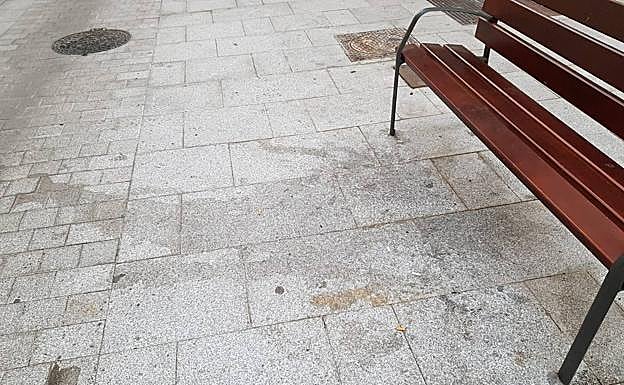 Imagen principal - Las manchas en el pavimento de la calle saltan a la vista. Casi todas las farolas tienen marcas de orines de perros. Farola y foco junto al árbol.