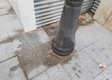 Imagen secundaria 1 - Las manchas en el pavimento de la calle saltan a la vista. Casi todas las farolas tienen marcas de orines de perros. Farola y foco junto al árbol.