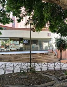 Imagen secundaria 2 - Las manchas en el pavimento de la calle saltan a la vista. Casi todas las farolas tienen marcas de orines de perros. Farola y foco junto al árbol.