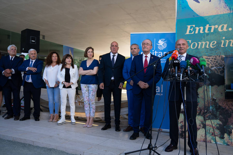 Uno de los laterales del Aula del Mar se ha convertido en una improvisada pasarela de moda por la que han desfilado una decena de creaciones impulsadas por Manu Fernández, presidente de Fashion Art, y el artista plástico submarino Alfonso Cruz