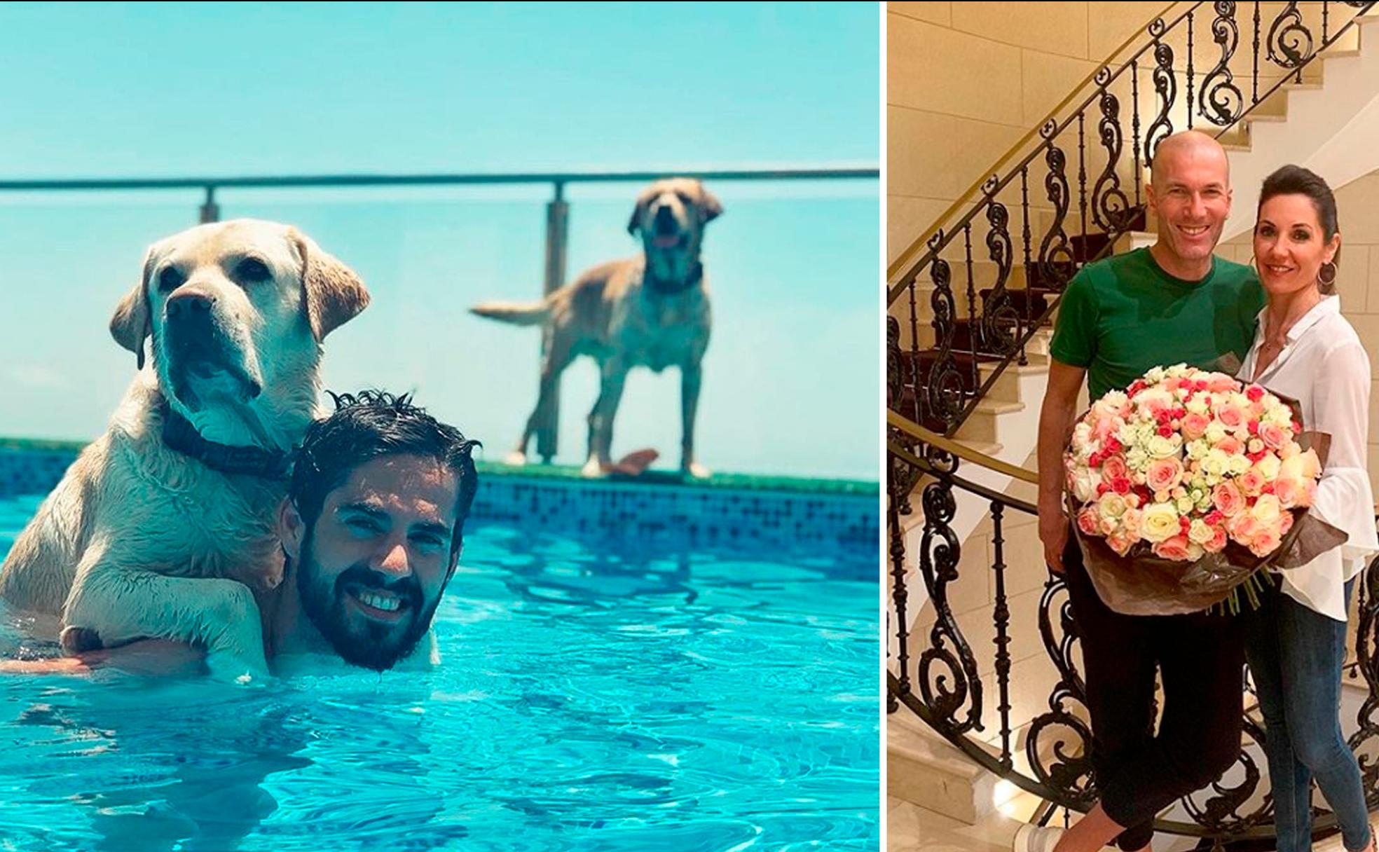 Isco Alarcón, en la piscina con sus perros. Zinedine Zidane y su mujer.