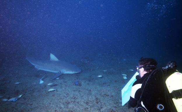 Alfonso, con el lienzo en la mano, momentos antes de la 'faena' con el tiburón toro en el Caribe. 