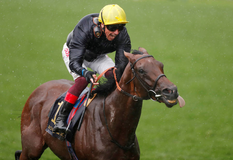 El Festival de carreras de caballos Royal Ascot, uno de los eventos deportivos y sociales más esperados del año en Inglaterra. Un evento que siempre acoge las pamelas más atrevidas. 