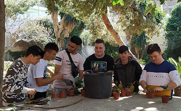 Estudiantes de Jardinería del IES Guadalmedina, todos graduados en la ESO gracias a la FP Básica.