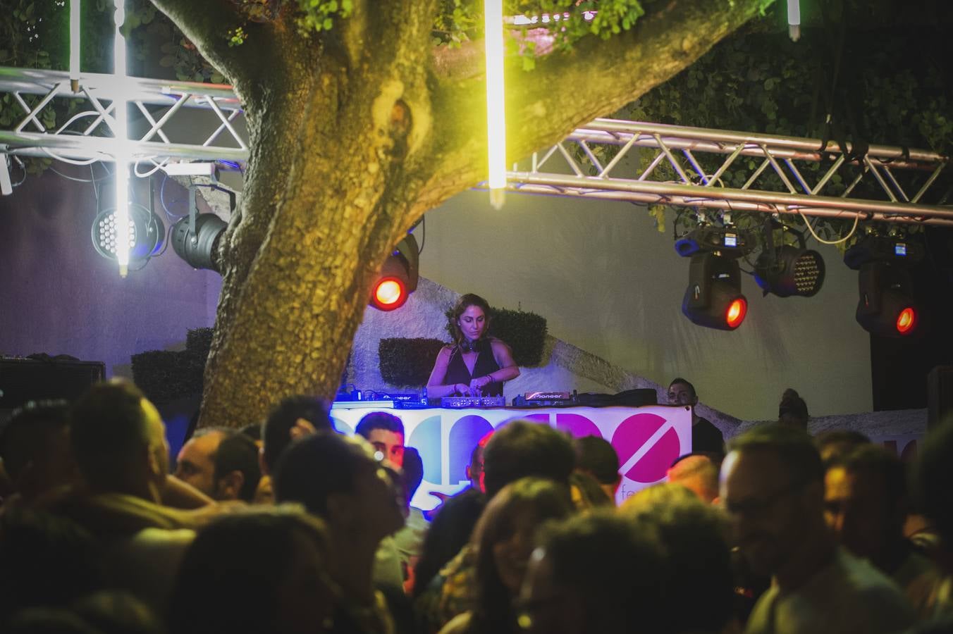 Fotos: Las mejores imágenes del Ojeando 2019