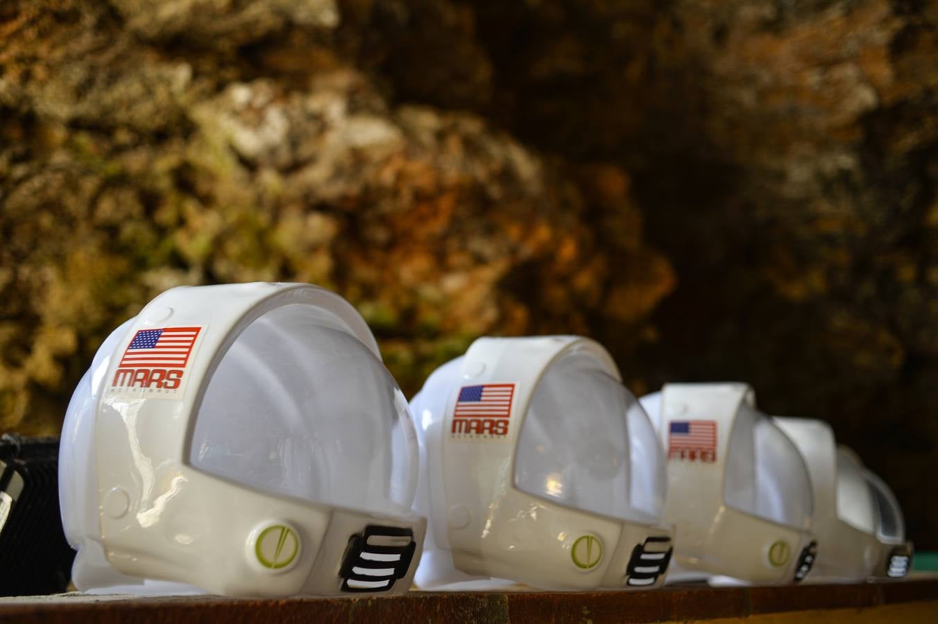 Fotos: Las mejores imágenes del Ojeando 2019