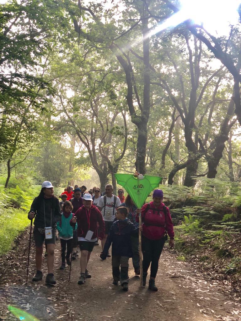 Fotos: Héroes de la superación: el camino de Santiago de 60 niños con cáncer