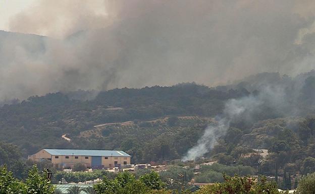 Incendio forestal Cadalso. 