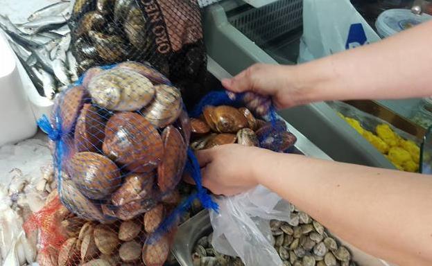 Cuatro de las nueve zonas de producción de coquina están cerradas