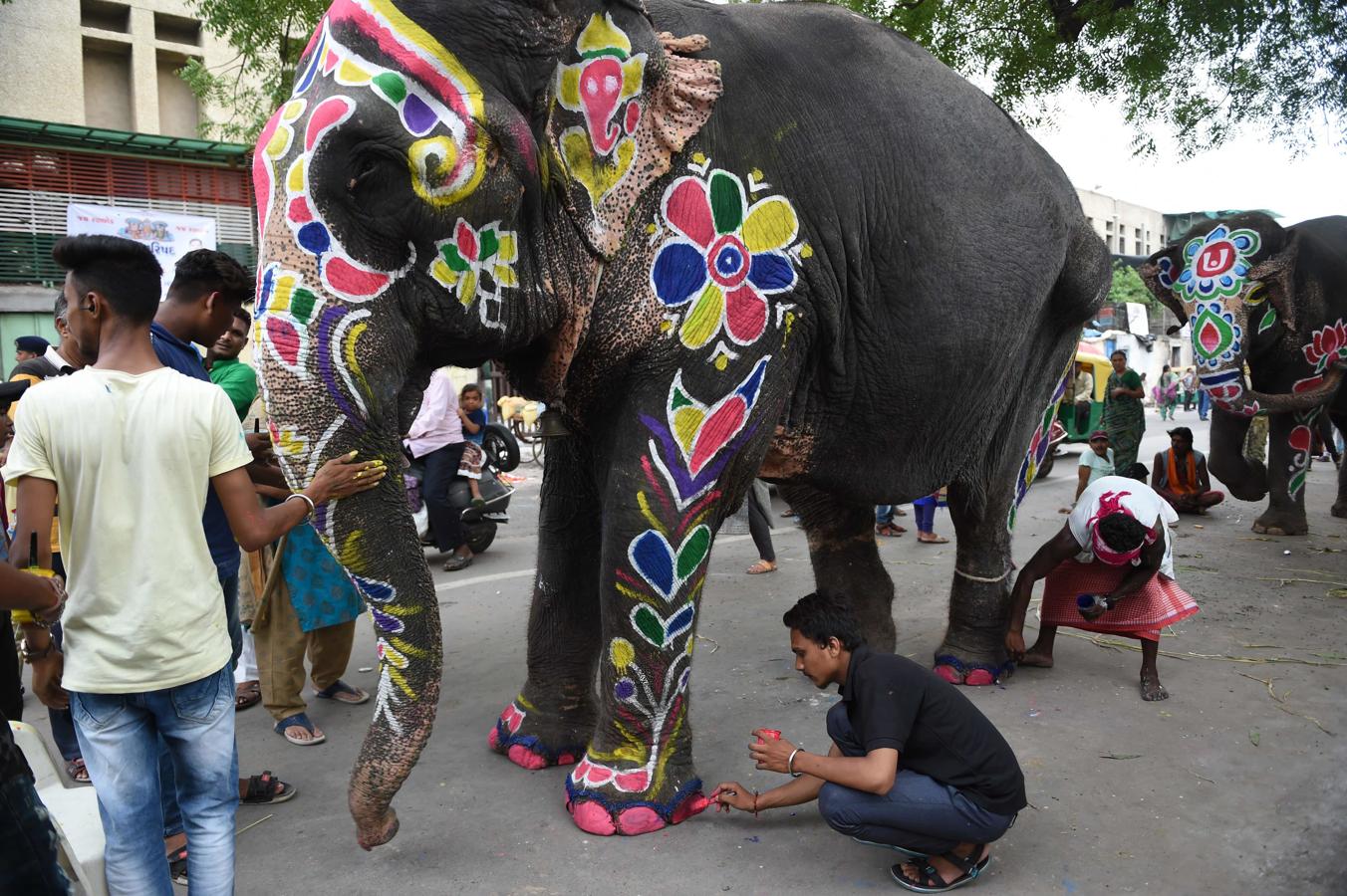 Un elefante indio se pinta en la víspera del festival hindú anual Rath Yatra en Ahmedabad el 3 de julio de 2019.